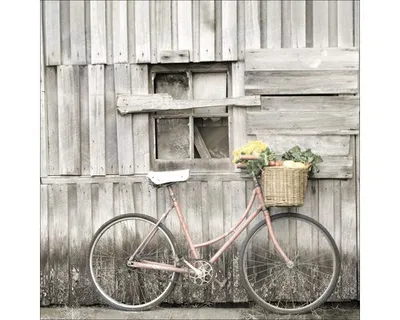 Produktbild von Glasbild Vegetable Bicycle 20x20 cm