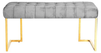 Image de Banc Rare 200 en Velours Gris avec Capitonnage