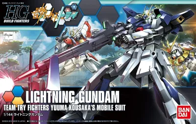 Image de Carte Flash Hgbf 1/144