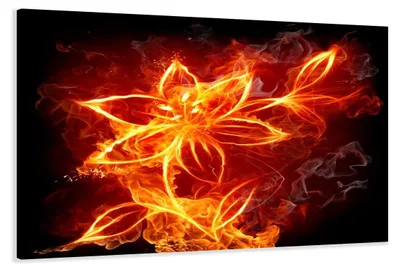 Produktbild von 4147 Feuerblume Leinwandbild 80x60 cm