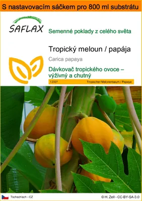 Obrázek produktu pro SAFLAX Garden in the bag - Tropický meloun / papája - Carica papaya - 30 Semena - S pěstebním substrátem v praktickém samovztyčovacím sáčku