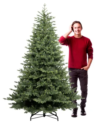 Image de Amstel - Sapin de Noël effet réaliste en PE et PVC ø142x210H, 1910 pointes