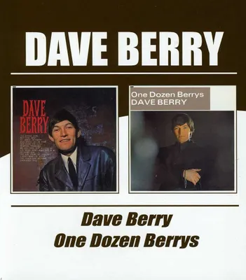 Zdjęcie produktu dla Dave Berry/One Dozen Berrys