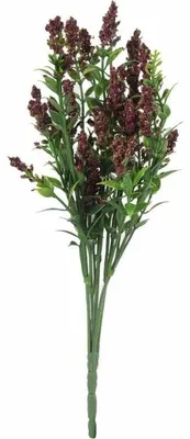 Zdjęcie produktu dla Bukiet 5 Gałązek Tawułki 28 Cm Kolor Brązowy