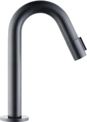 Produktbild von form&style Kaltwasserhahn TAO L schwarz matt