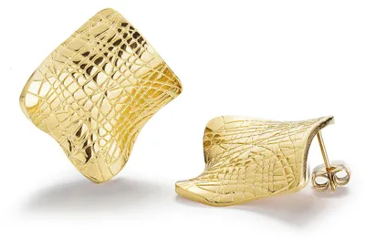 Obrázek produktu pro Náušnice ELVRA gold