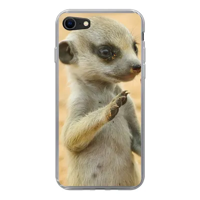 Produktbild von MuchoWow® Handyhülle Schutzhülle Hülle für iPhone SE 2020 Erdmännchen - Braun - Tier Silikon Softcase Handy Hülle - Kartenbesitzer