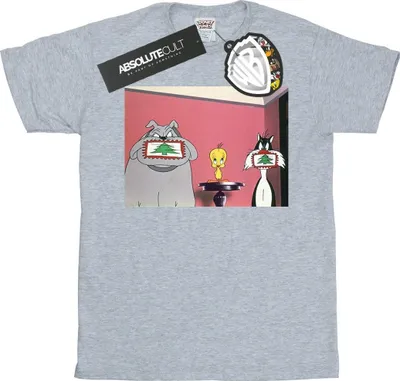 Produktbild von Looney Tunes - T-Shirt für Damen BI31944 (M) (Grau)