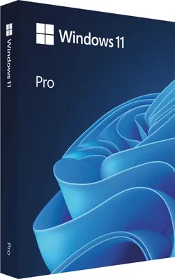 Image de Microsoft Windows 11 Professionnel (néerlandais)