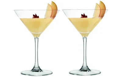 Obrázok produktu pre Leonardo GK/2 Cocktail bowls 200ml Gin
