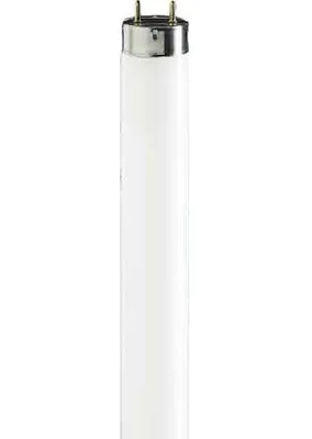 Produktbild von Philips MASTER TL-D Super 80, 58,5 W, G13, T8, 15000 h, 5240 lm, tralweiß