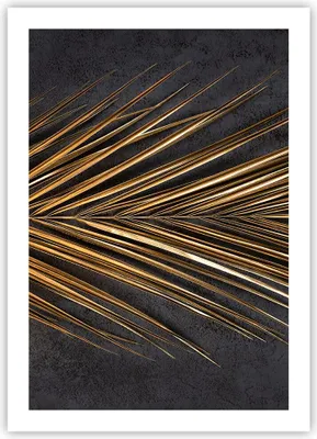 Produktbild von Poster - Poster ohne Rahmen - Blatt golden schwarz - 50x70 cm - Wand Bild - Wanddeko - Wandbilder - Kunstposter - Wandposter - Bilder - Kunstdruck - Wanddekoration - Wandbild - P2XPA50x70-5091