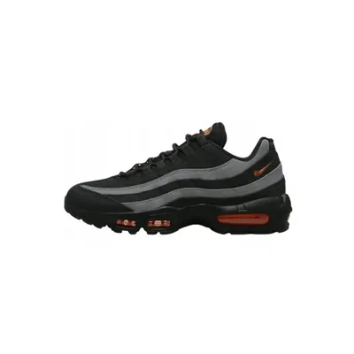 Obrázek produktu pro boty Nike Air Max 95DX2657001
