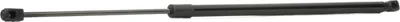 Produktbild von RIDEX 219G0576 Gasfeder Heckklappendämpfer für BMW X3 (F25) 652mm