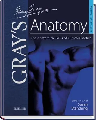Immagine prodotto di Gray's Anatomy