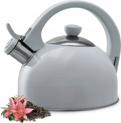 Produktbild von KADAX Wasserkessel "Vasto", Kessel aus Edelstahl für alle Herdarten, Grau, 1,7 L