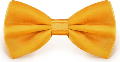 Produktbild von Fliege Gelb Größe verstellbar aus Polyester einfarbig uni schmale 12 cm