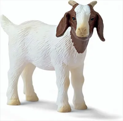 Produktbild von Schleich 13260 Burenzicklein