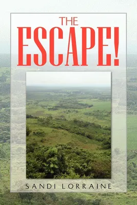 Produktbild von The Escape!
