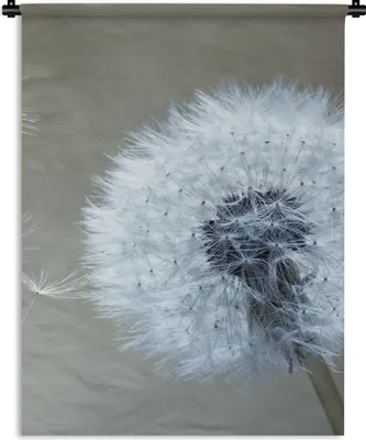 Produktbild von MuchoWow® Wandteppich Wandbehang Löwenzahn - Blume - Pflanze 150x200 cm Tapisserie Dekoration Wandtuch - Wandaufhängung - Moderner