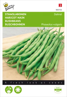 Produktbild von Buschbohne Delinel | Buschbohnensamen von Buzzy Seeds