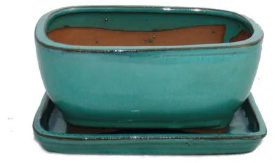 Produktbild von Dehner Bonsaischale, mit Untersetzer, handgefertigter Übertopf, rechteckig, ca. 16.5 x 8.5 x 12.5 cm, Keramik, türkis