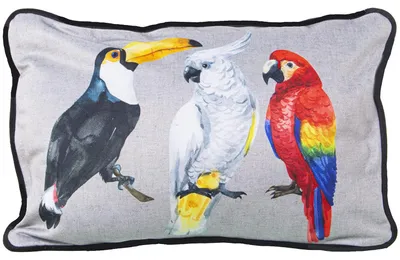 Rechteckkissen Samt Polyester 30x45 cm mit Vögeln