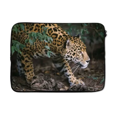Produktbild von MuchoWow® Laptop Hülle 14 ZollSchleichender Jaguar im Wald Laptoptasche - Laptoptasche - Stoßsicher - Schutzhaube