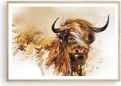 Produktbild von Gerahmtes Poster - Rahmen in heller Eiche - Stier Scotch Aquarell - 100x70 cm - Wand Bild - Wanddeko - Wandbilder - Kunstposter - Wandposter - Bilderrahmen - Bilder - Kunstdruck - P2NAA100x70-4708