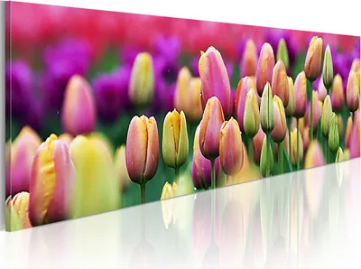 Produktbild von Modernes Wandbild 9060122 (120x40) - 1 Teilig Bilder Fotografie auf Vlies Leinwand Foto Bild Dekoration Wand Bilder Kunstdruck