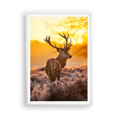Produktbild von Gerahmtes Poster - Weißer Rahmen - Herbst landschaft natur blatt - 70x100 cm - Wand Bild - Wanddeko - Wandbilder - Wandposter - Bilderrahmen - Bilder - Kunstdruck - Wandbild - P2WPA70x100-2552