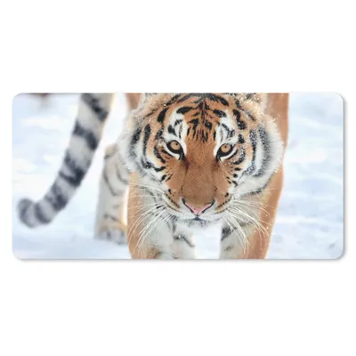 Produktbild von MuchoWow® Mauspad Mousepad Tiger - Schnee - Tiere 60x30 cm - Mousepads - Maus Mat - Pad - Mausunterlage - Nachhaltig