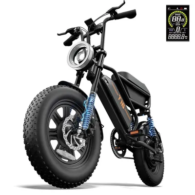 Produktbild von E-Bike 16x3,0 Zoll, 48V/15.6Ah Akku, 110km Reichweite, 7-Gang Shimano Nabenschaltung, Retro Holland E-Bike Elektrofahrrad