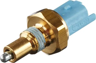 Image de Spinac, lumière vers l'arrière