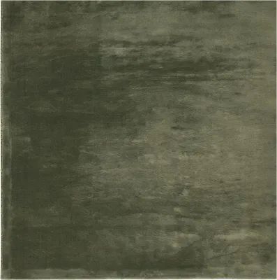 Image de vidaXL Tapis HUARTE à poils courts Doux et lavable Vert forêt 160x160 cm
