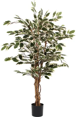 Obrázok produktu pre Sľudové dekorácie Umelá rastlina Ficus - H110 x Ø70 cm - Farebná zelená
