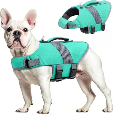 Image de Gilet de nage pour chien, en tissu ripstop Oxford et nylon, conçu pour la natation, avec des sangles réglables et des éléments réfléchissants