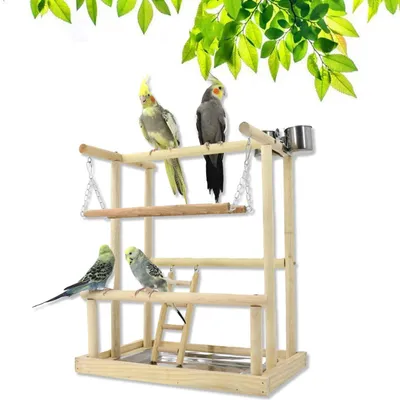Vogelspielständer aus Holz, 45x40 cm, mit Zubehör für Sittiche