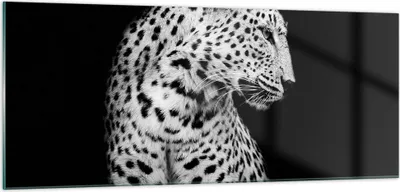 Produktbild von Bilder auf glas - Einteilig - Leopard Panther Katze - 100x40cm - Glasbilder - Wandbilder - Bilder - zum Aufhängen bereit - Wanddekoration aus Glas - Glas Bilder - Wandbild auf Glas - GAB100x40-4919