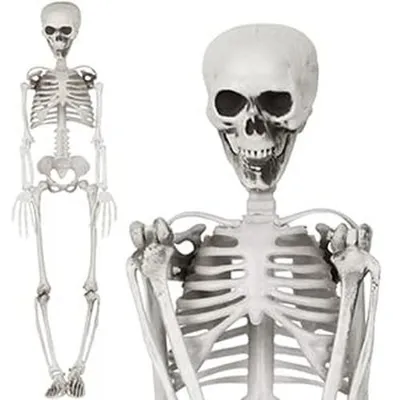 Obrázek produktu pro Dekorace na Halloween: kostra pro strašidelné oslavy