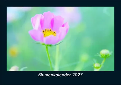 Produktbild von Blumenkalender 2027 Fotokalender DIN A5