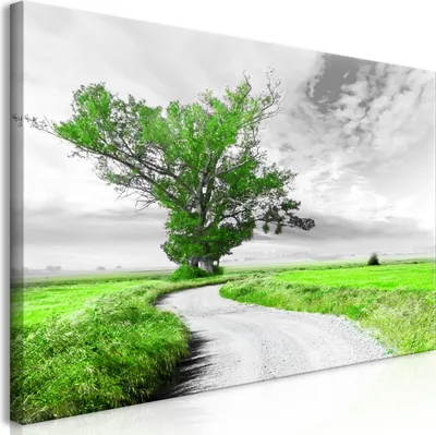 Produktbild von Wandbild Mega XXXL Landschaft 250x125 cm Einteiliger XXL-Format Kunstdruck zur Selbstmontage Leinwandbilder moderne Bilder DIY Wanddekoration Wohnung Deko Baum Natur c-B-0356-ak-h