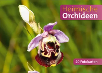 Produktbild von Heimische Orchideen