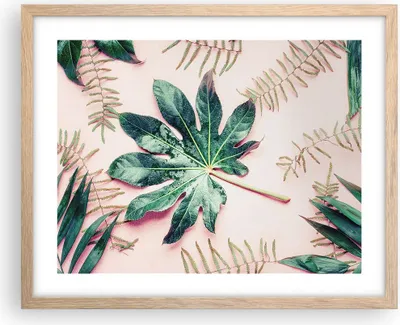 Produktbild von Gerahmtes Poster - Rahmen in heller Eiche - Blatt Tropisch Palme - 50x40 cm - Wand Bild - Wanddeko - Wandbilder - Wandposter - Bilderrahmen - Bilder - Kunstdruck - Wandbild - P2NAA50x40-4314