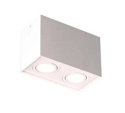 Obrázek produktu pro Spot BASIC SQUARE svítidlo pro povrchovou montáž C0088 MaxLight
