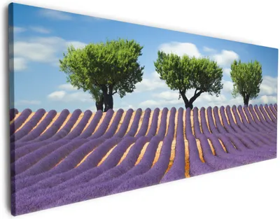 Produktbild von Wallario Premium Leinwandbild Abstraktes lila Blumenfeld mit Lavendel in Größe 50 x 125 cm