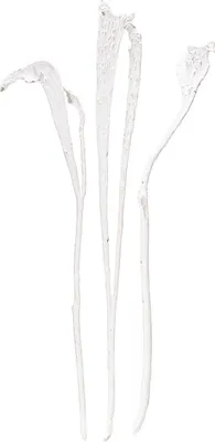 Produktbild von Natraj Geweihholz Mix gebleicht, Dekorative Trockenzweige für Trauerfloristik, Naturprodukt 10 Stück