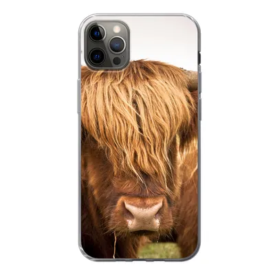 Produktbild von MuchoWow® Handyhülle Schutzhülle Hülle für iPhone 13 Pro Max Schottische Highlander - Braun - Gras Silikon Softcase Handy Hülle - Mobiltelefon
