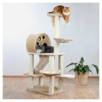 Produktbild von Trixie Kratzbaum ALLORA, beige