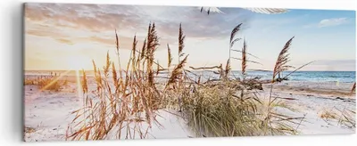 Produktbild von Bild auf Leinwand - Leinwandbild - Einteilig - Möwe Meer Küste - 140x50cm - Wand Bild - Wanddeko - Wandbilder - Leinwanddruck - Bilder - Wanddekoration - Leinwand bilder - Wandbild - AB140x50-4902
